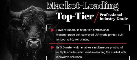 Unleash Maximum Productivity with SPRINTER Power Pro5300!