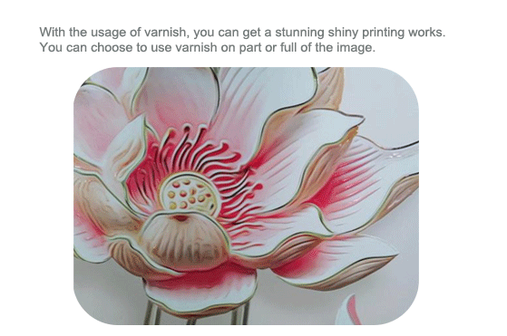 Shiny Photos Image