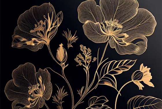 This image for Image Layouts addon