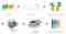 Efficiency-Enhanced Image Processing Image